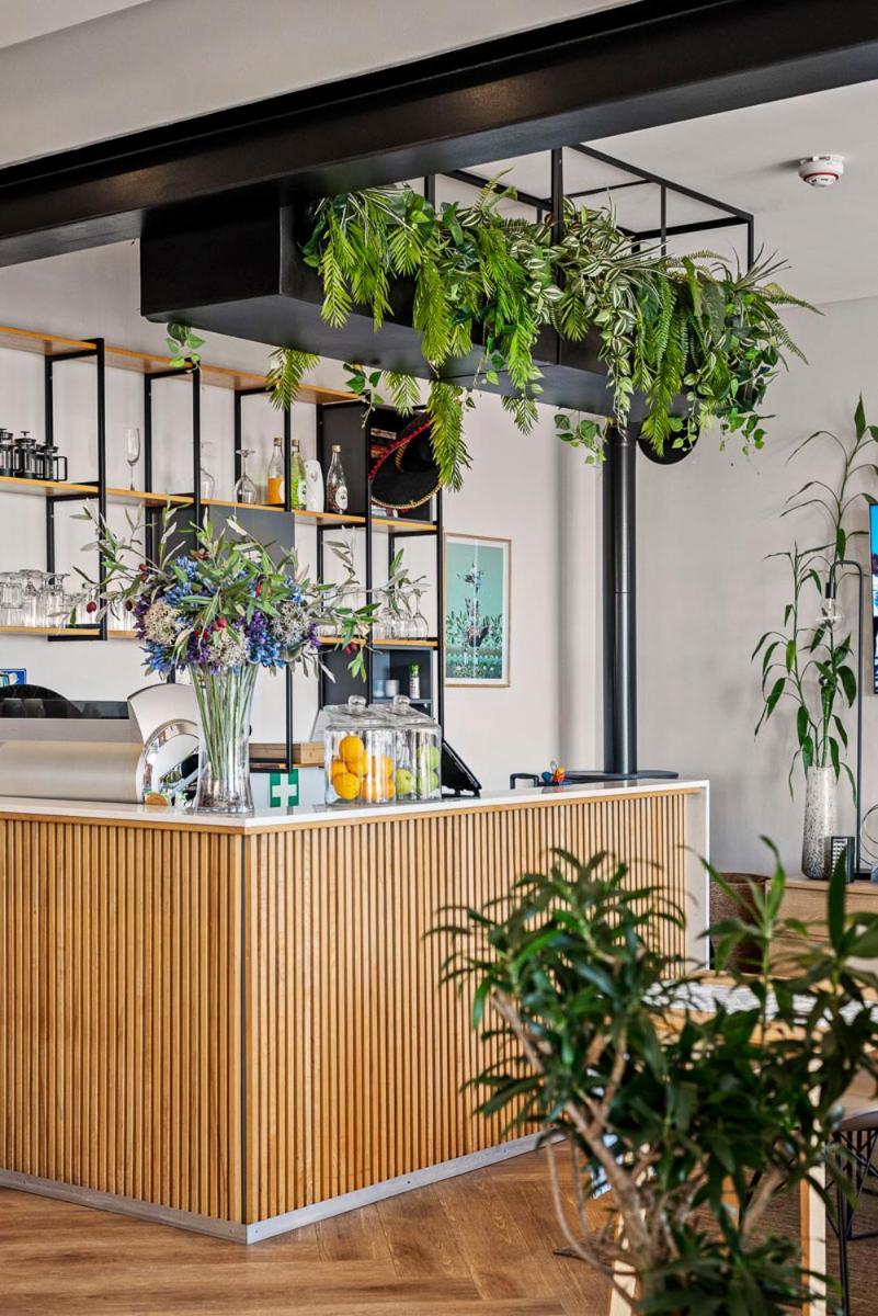 Antrim Boutique Hotel By Totalstay كيب تاون المظهر الخارجي الصورة